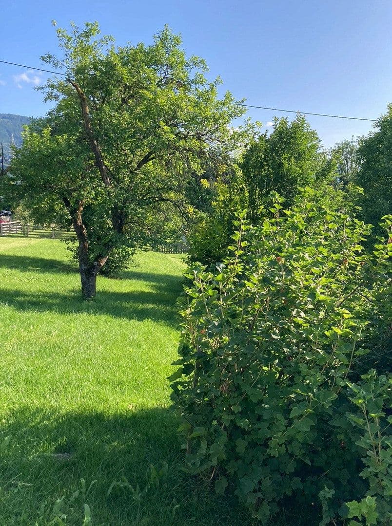 Predaj pozemku 1.123 m², Tachenberg, Aigen im Ennstal, Štajersko Predaj pozemku 1.123 m², Tachenberg, Aigen im Ennstal, Štajersko