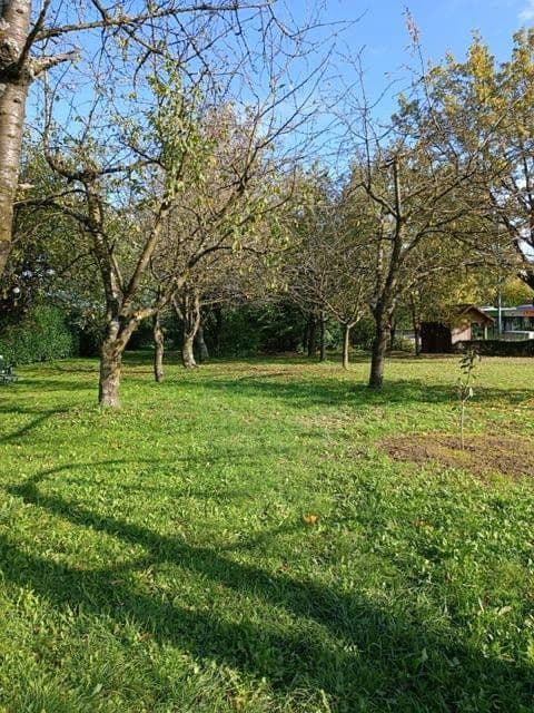 Predaj bytu 4-izbový 92 m², Kreuzlingerstrasse 18, Friedrichshafen, Bádensko-Wurttembersko Predaj bytu 4-izbový 92 m², Kreuzlingerstrasse 18, Friedrichshafen, Bádensko-Wurttembersko