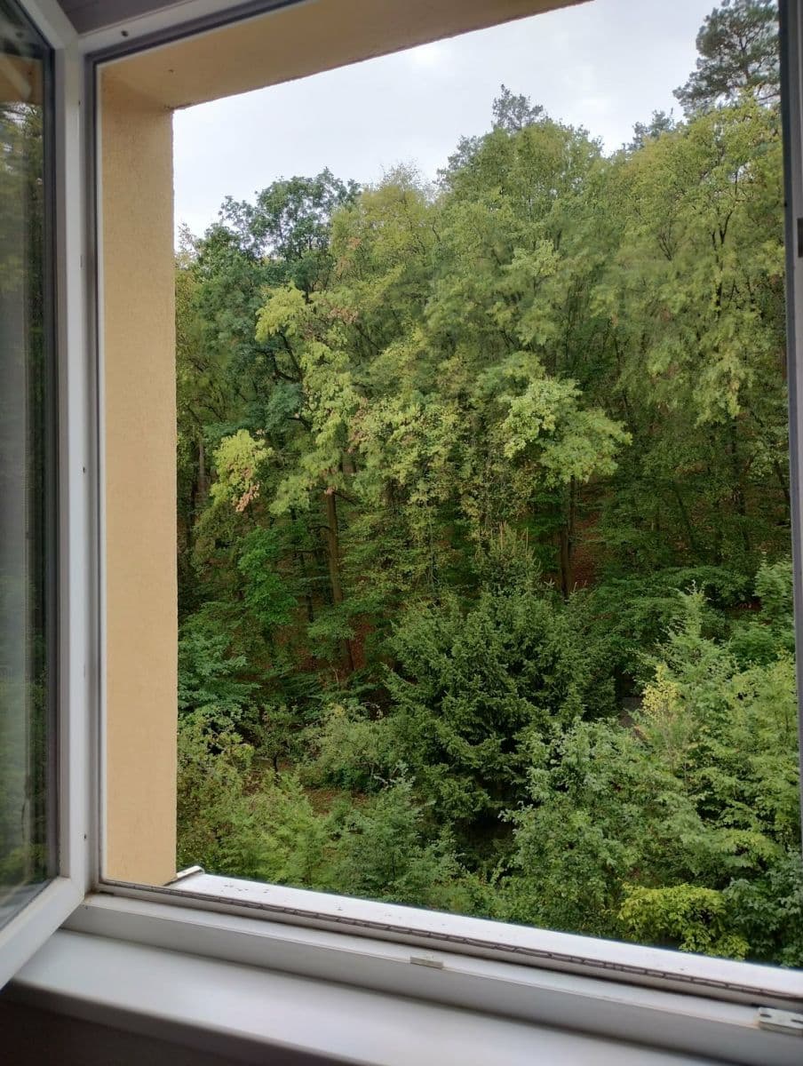 Prenájom bytu 1-izbový 34 m², Jasanová, Brno, Jihomoravský kraj Prenájom bytu 1-izbový 34 m², Jasanová, Brno, Jihomoravský kraj