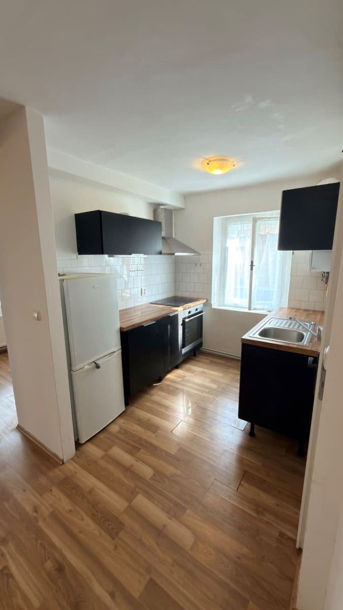 Prenájom bytu 1-izbový 40 m², Růžová, Liberec, Liberecký kraj Prenájom bytu 1-izbový 40 m², Růžová, Liberec, Liberecký kraj
