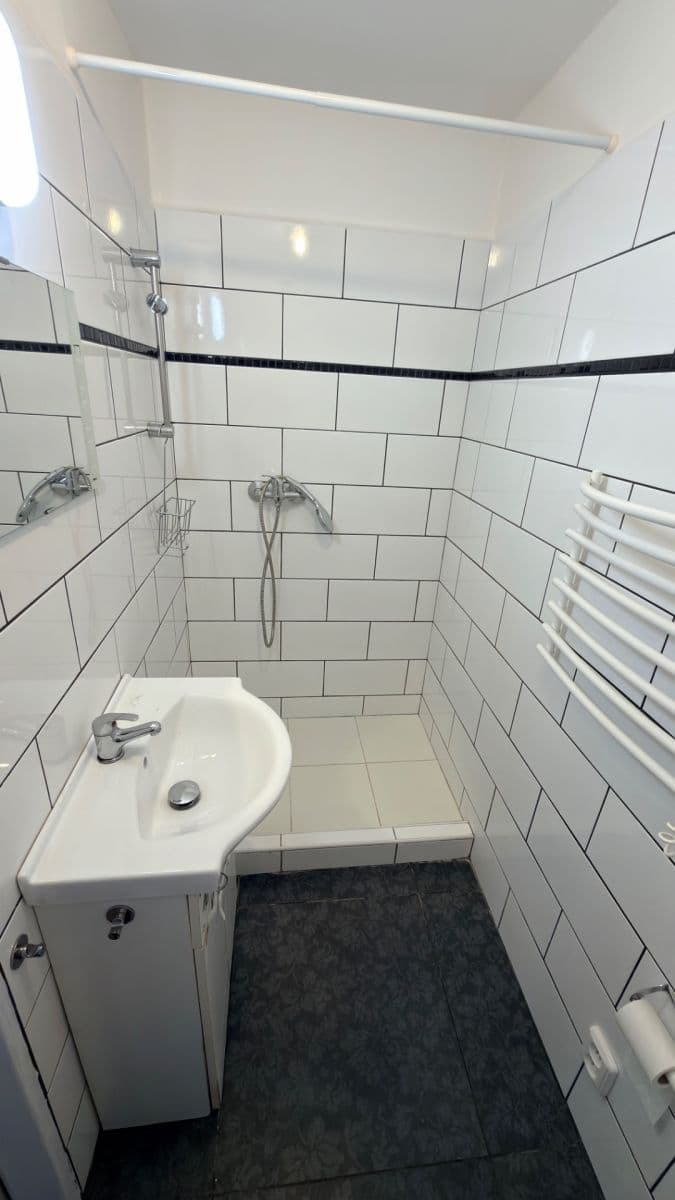 Prenájom bytu 1-izbový 40 m², Růžová, Liberec, Liberecký kraj Prenájom bytu 1-izbový 40 m², Růžová, Liberec, Liberecký kraj