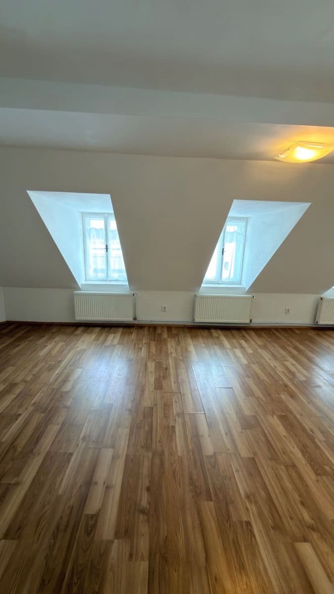 Prenájom bytu 1-izbový 40 m², Růžová, Liberec, Liberecký kraj Prenájom bytu 1-izbový 40 m², Růžová, Liberec, Liberecký kraj