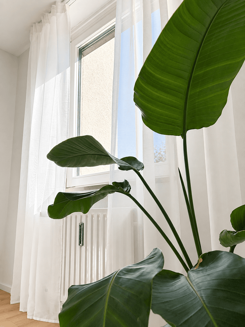 Predaj bytu 3-izbový 79 m², München, Bavorsko Predaj bytu 3-izbový 79 m², München, Bavorsko