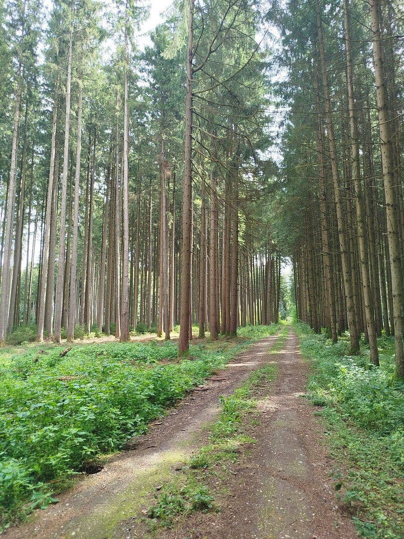 Predaj pozemku 16.740 m², Mering, Bavorsko Predaj pozemku 16.740 m², Mering, Bavorsko