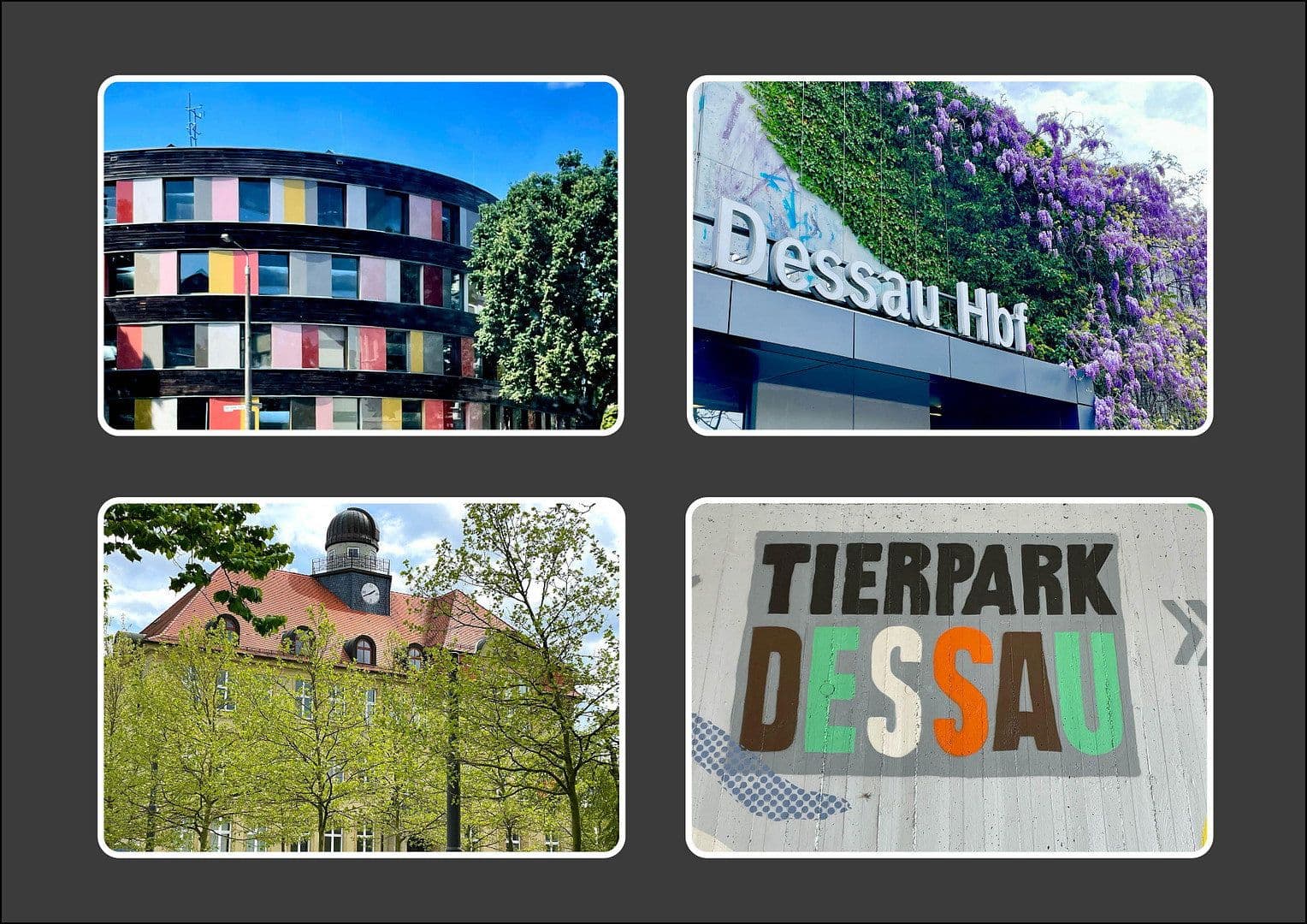 Predaj domu 152 m², pozemok 617 m², Dessau-Ziebigk, Sasko-Anhaltsko Predaj domu 152 m², pozemok 617 m², Dessau-Ziebigk, Sasko-Anhaltsko