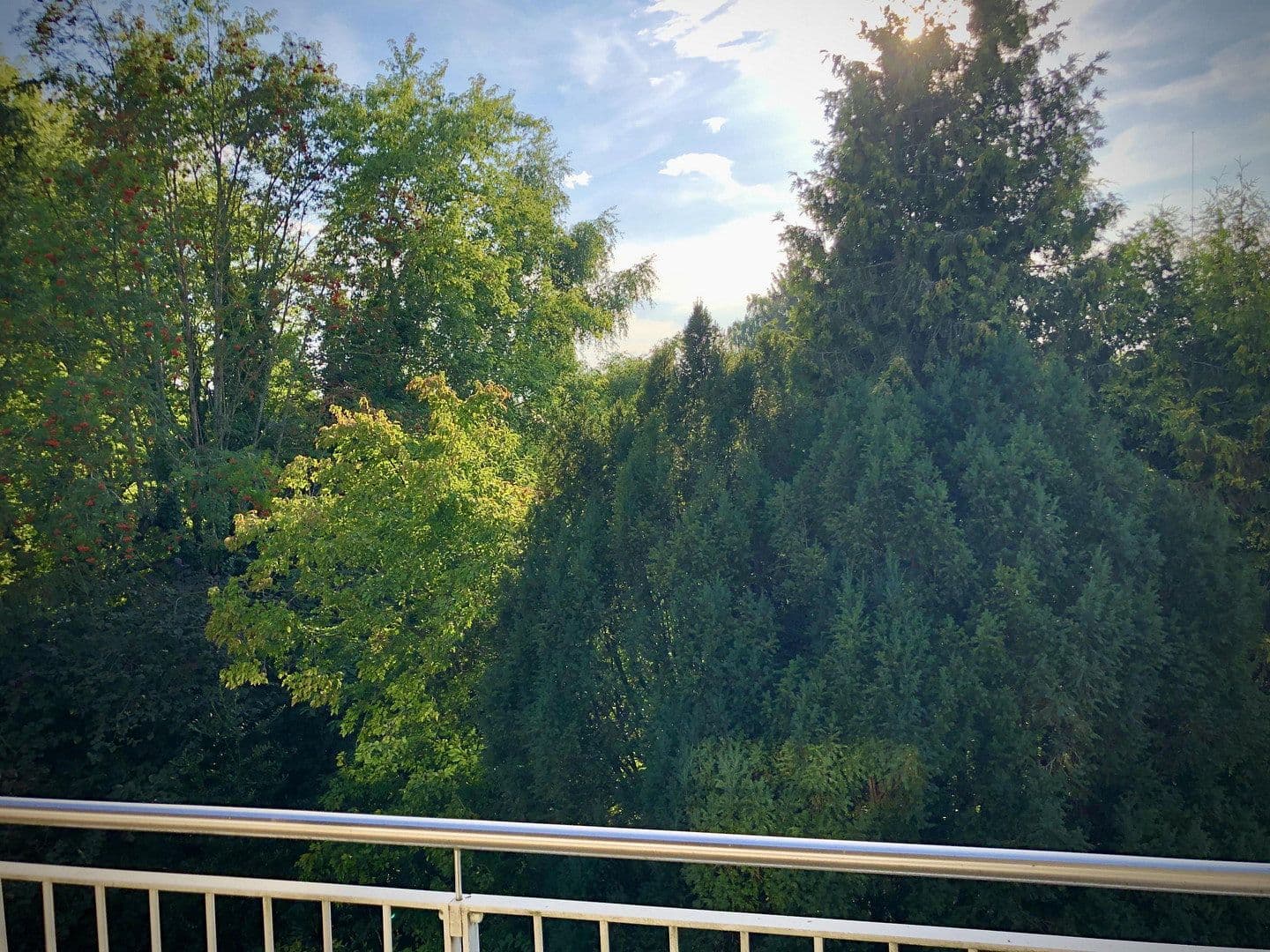 Prenájom bytu 3-izbový 83 m², München, Bavorsko Prenájom bytu 3-izbový 83 m², München, Bavorsko