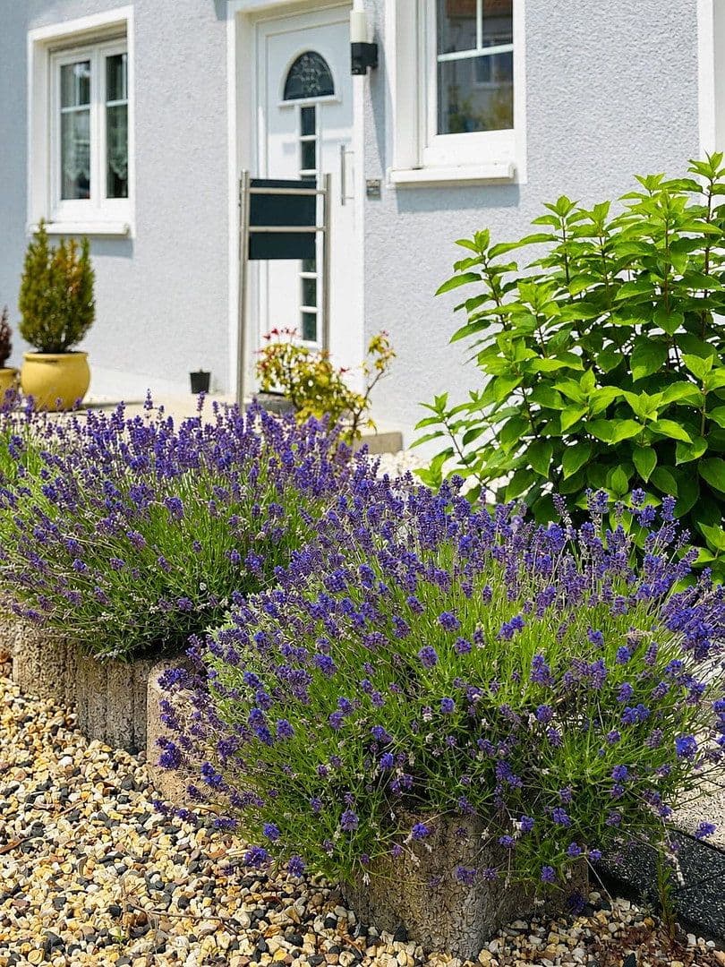 Predaj domu 207 m², pozemok 328 m², Bad Vilbel, Hesensko Predaj domu 207 m², pozemok 328 m², Bad Vilbel, Hesensko