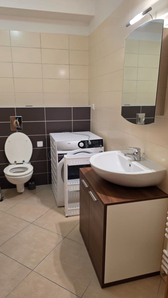 Prenájom bytu 1-izbový 34 m², Říčanská, Brno, Jihomoravský kraj Prenájom bytu 1-izbový 34 m², Říčanská, Brno, Jihomoravský kraj