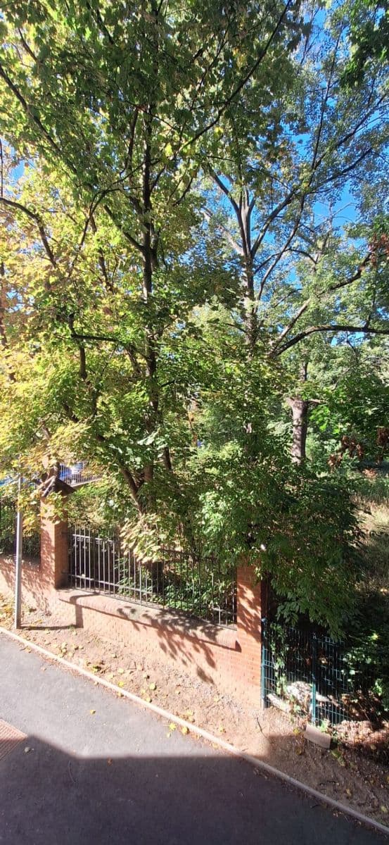 Predaj bytu 1-izbový 40 m², Radimova, Praha, Praha Predaj bytu 1-izbový 40 m², Radimova, Praha, Praha