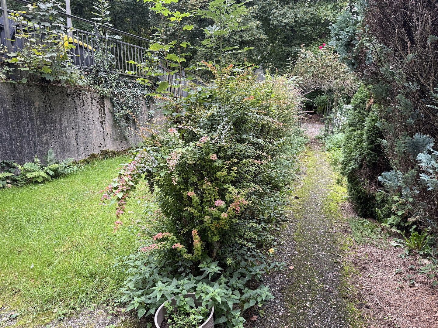 Prenájom bytu 2-izbový 43 m², Ittertalstraße 138, Solingen, Severné Porýnie - Westfálsko Prenájom bytu 2-izbový 43 m², Ittertalstraße 138, Solingen, Severné Porýnie - Westfálsko