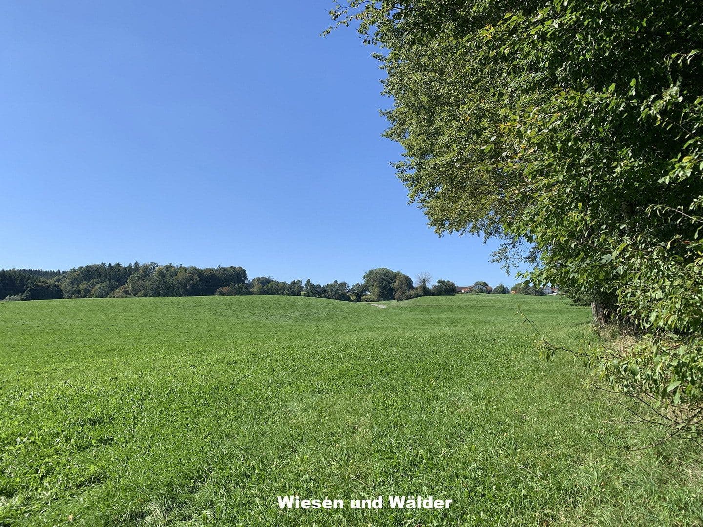 Predaj domu 400 m², pozemok 255.000 m², Marienplatz 1, Bayern - Ebersberg, Bavorsko Predaj domu 400 m², pozemok 255.000 m², Marienplatz 1, Bayern - Ebersberg, Bavorsko