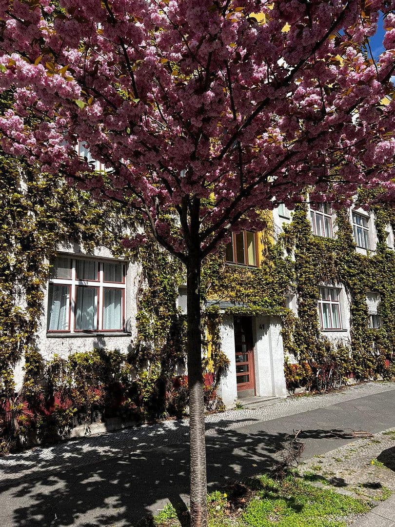 Prenájom bytu 2-izbový 58 m², Berlin, Berlín Prenájom bytu 2-izbový 58 m², Berlin, Berlín