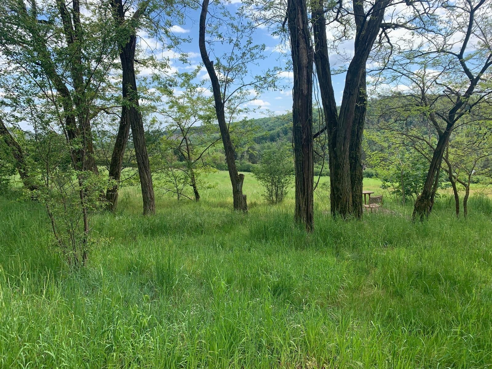Predaj pozemku 2.112 m², Nebovidy, Jihomoravský kraj Predaj pozemku 2.112 m², Nebovidy, Jihomoravský kraj
