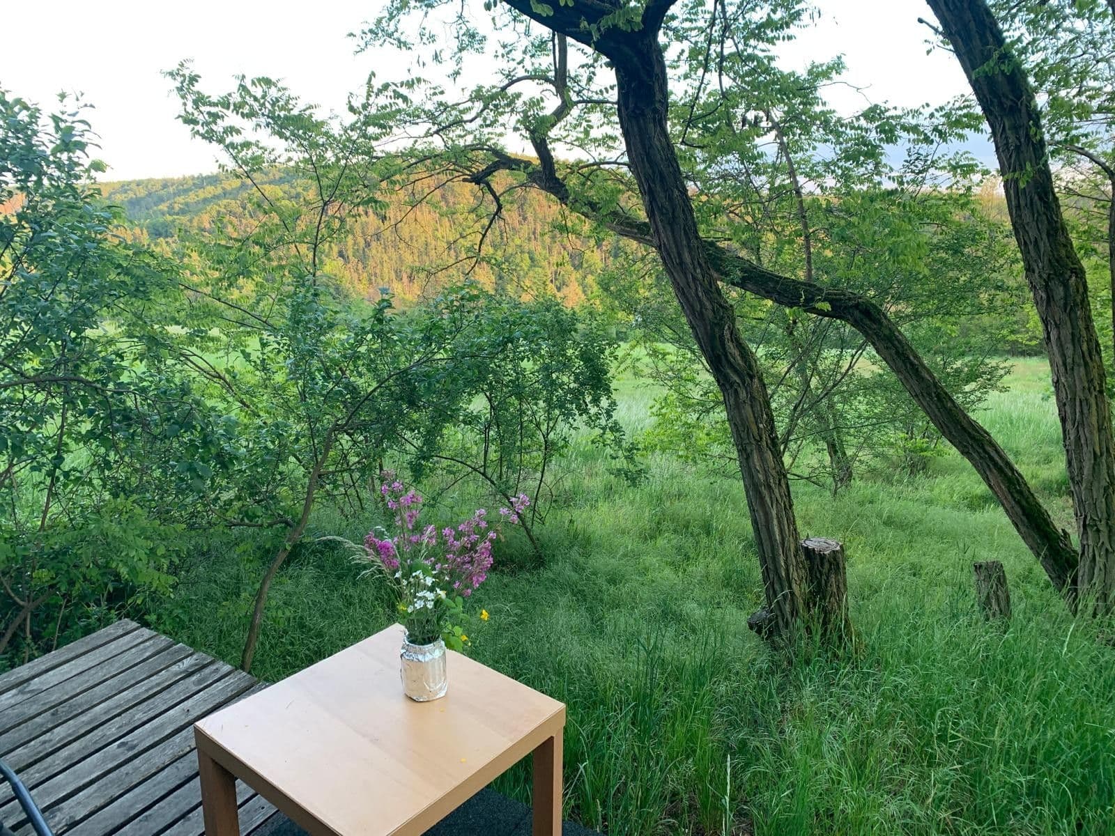 Predaj pozemku 2.112 m², Nebovidy, Jihomoravský kraj Predaj pozemku 2.112 m², Nebovidy, Jihomoravský kraj