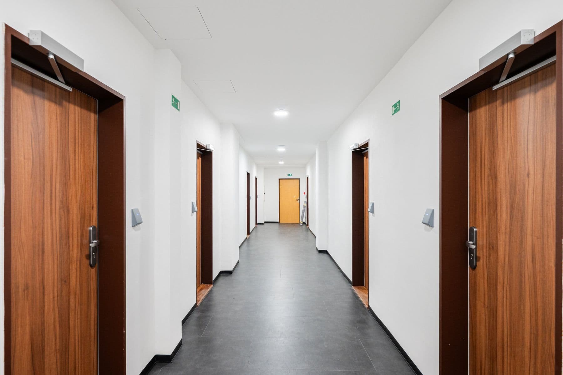 Prenájom bytu 19 m², Jeseniova, Praha, Praha Prenájom bytu 19 m², Jeseniova, Praha, Praha