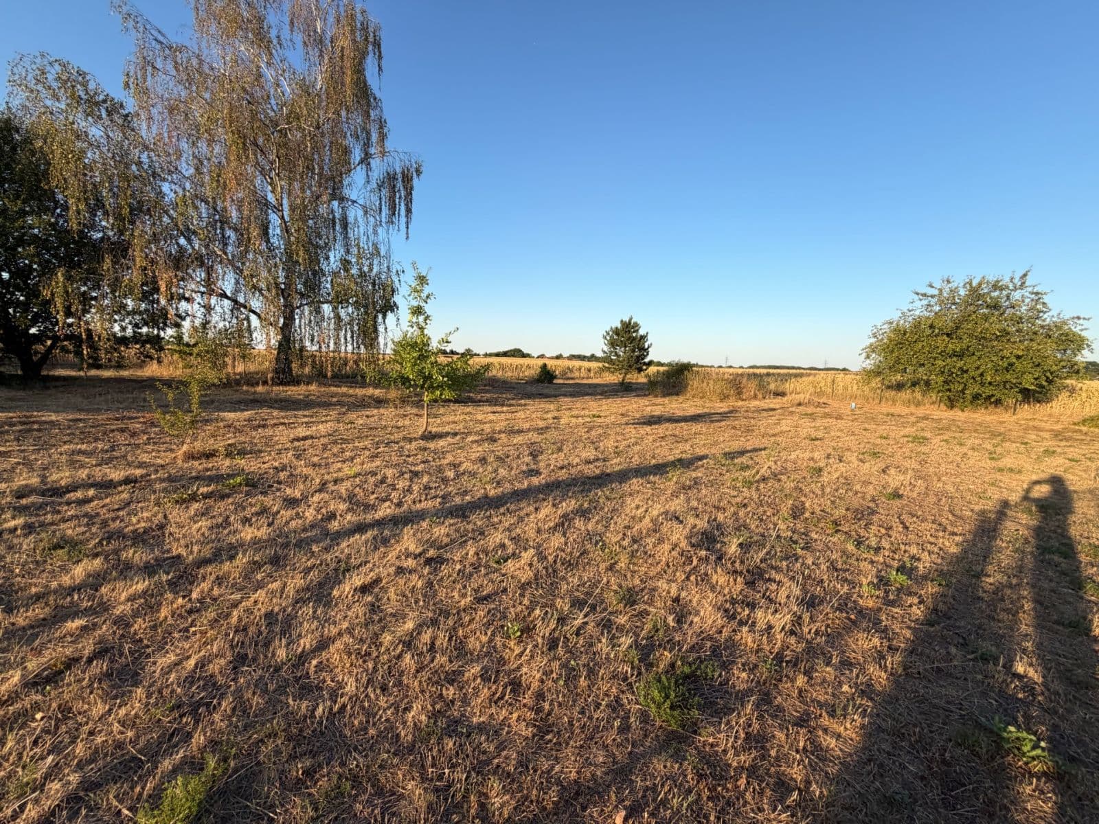 Predaj pozemku 1.723 m², Pardubice, Pardubický kraj Predaj pozemku 1.723 m², Pardubice, Pardubický kraj
