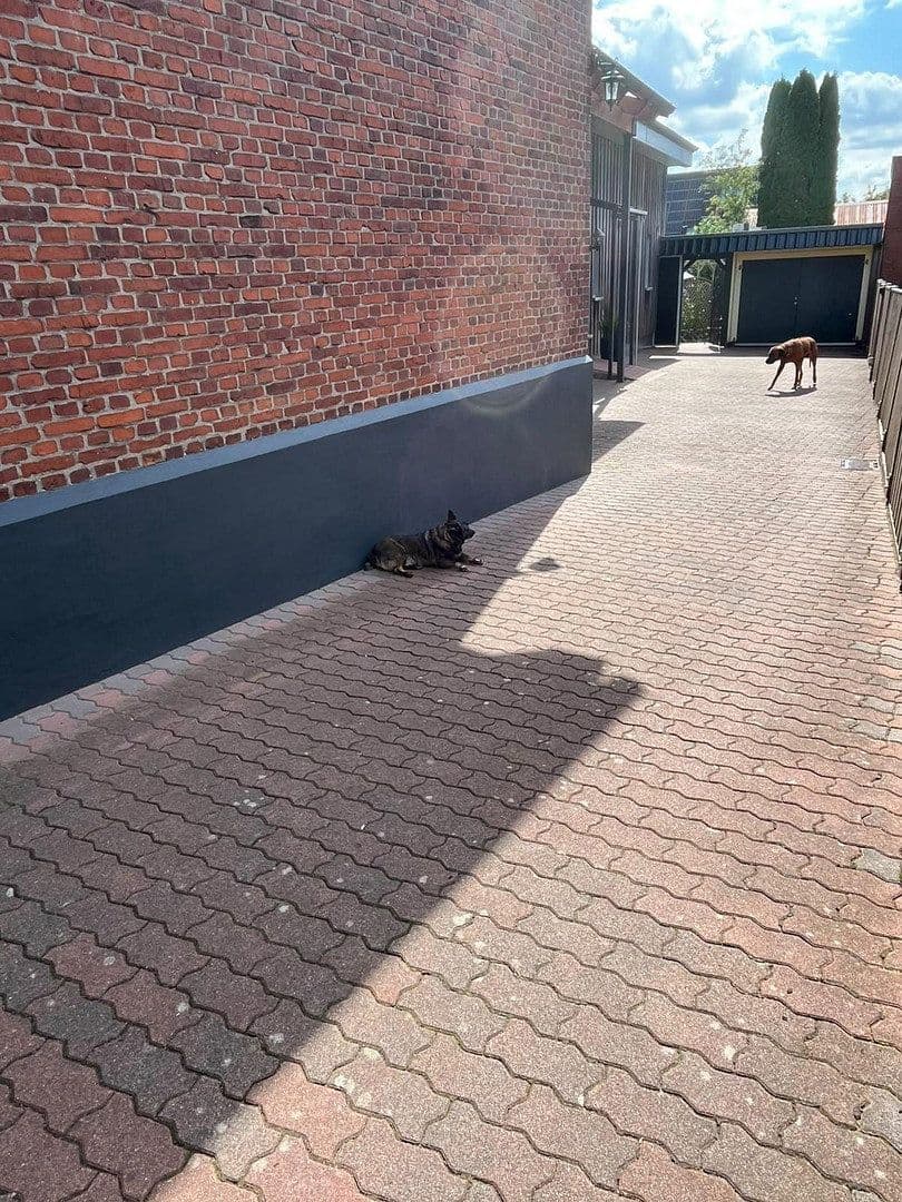 Predaj domu 197 m², pozemok 655 m², Hohenwestedt, Šlezvicko-Holštajnsko Predaj domu 197 m², pozemok 655 m², Hohenwestedt, Šlezvicko-Holštajnsko