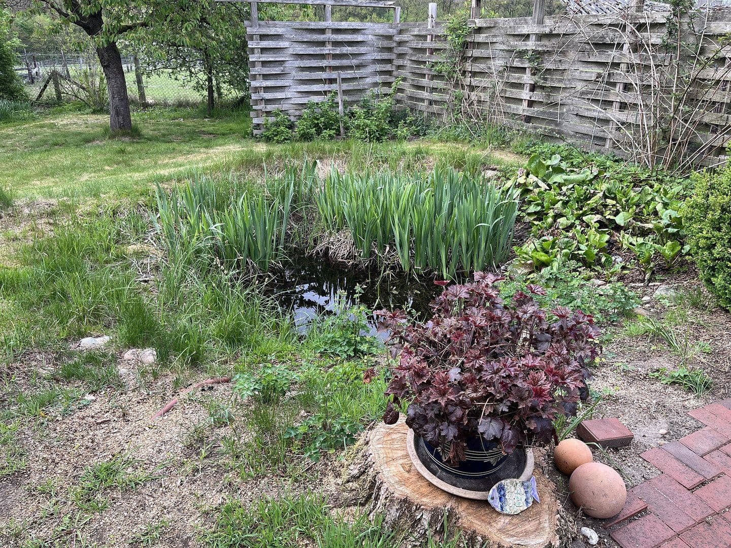 Predaj domu 225 m², pozemok 1.000 m², Sprakensehl, Dolné Sasko Predaj domu 225 m², pozemok 1.000 m², Sprakensehl, Dolné Sasko