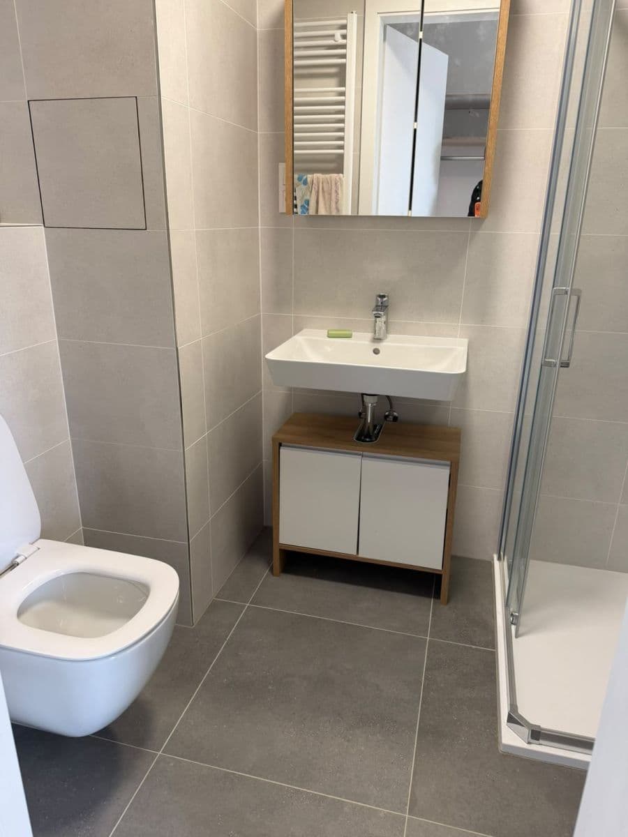 Prenájom bytu 1-izbový 30 m², Jáchymovská, Praha, Praha Prenájom bytu 1-izbový 30 m², Jáchymovská, Praha, Praha