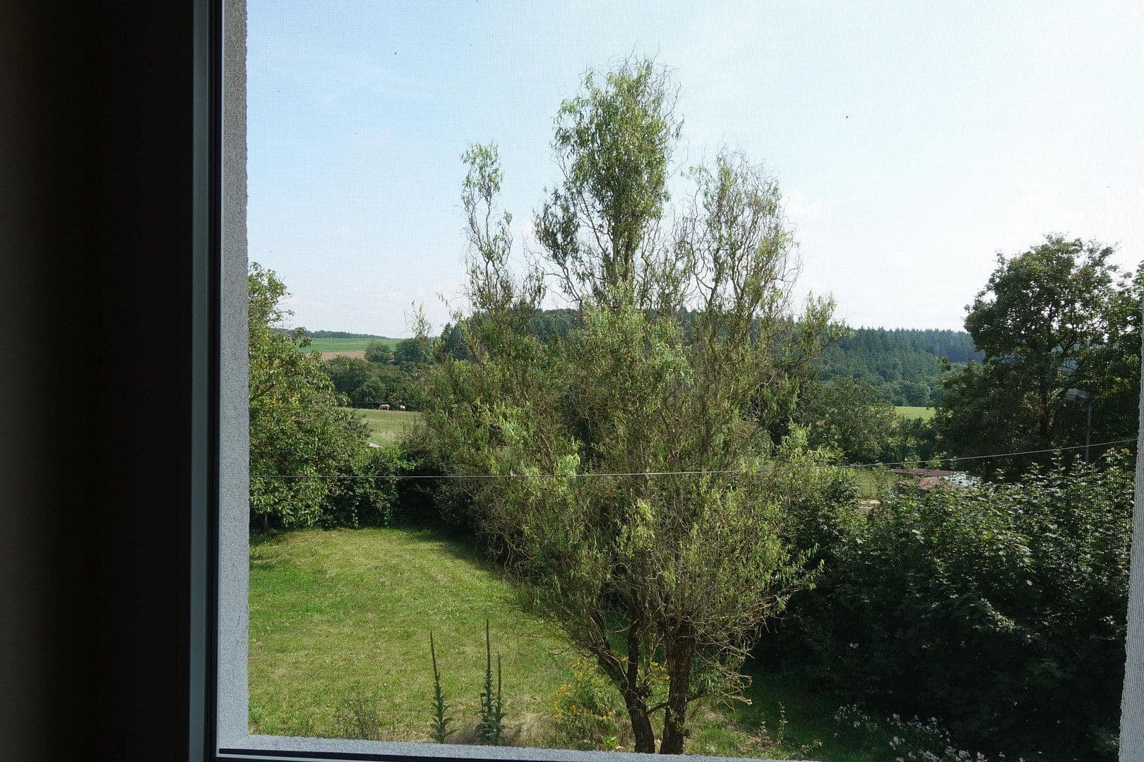 Predaj domu 180 m², pozemok 39.000 m², Buchen (Odenwald), Bádensko-Wurttembersko Predaj domu 180 m², pozemok 39.000 m², Buchen (Odenwald), Bádensko-Wurttembersko