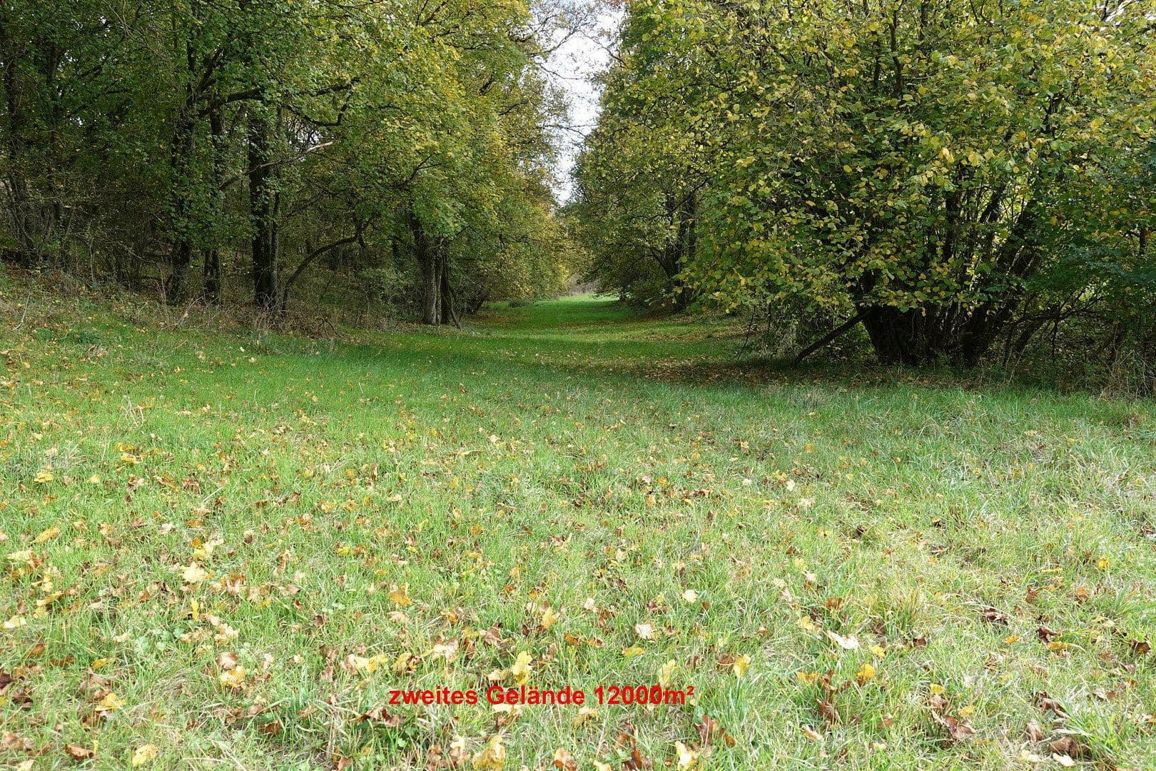 Predaj domu 180 m², pozemok 39.000 m², Buchen (Odenwald), Bádensko-Wurttembersko Predaj domu 180 m², pozemok 39.000 m², Buchen (Odenwald), Bádensko-Wurttembersko