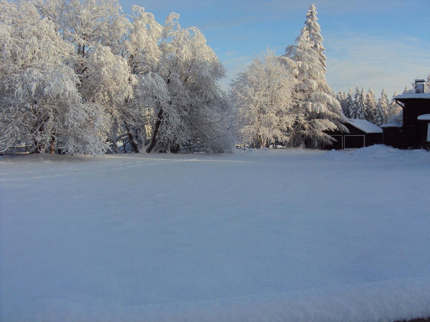 Predaj nebytového priestoru 1.650 m², Braunlage, Dolné Sasko Predaj nebytového priestoru 1.650 m², Braunlage, Dolné Sasko