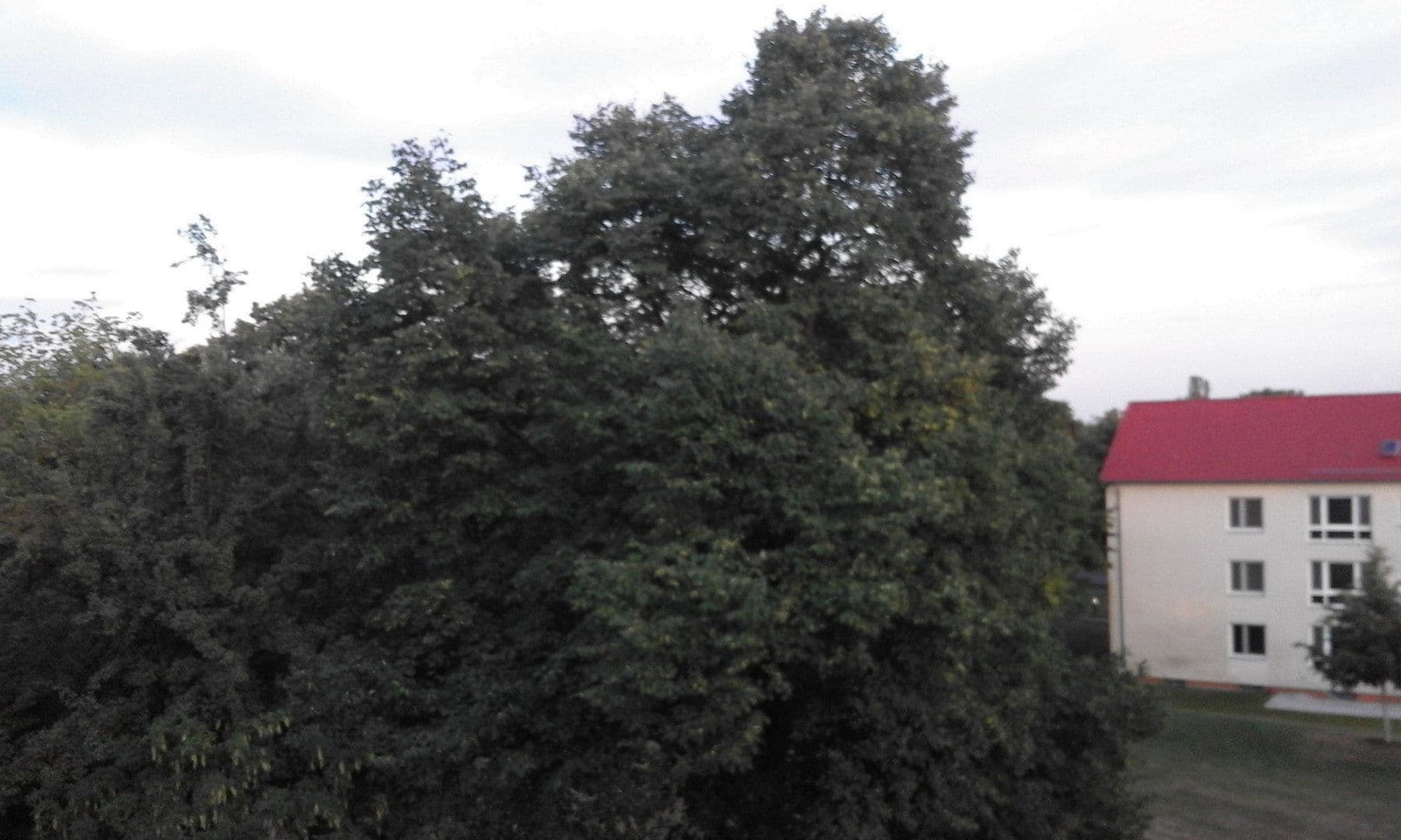 Prenájom bytu 3-izbový 101 m², Wiesbaden-Sonnenberg, Hesensko Prenájom bytu 3-izbový 101 m², Wiesbaden-Sonnenberg, Hesensko
