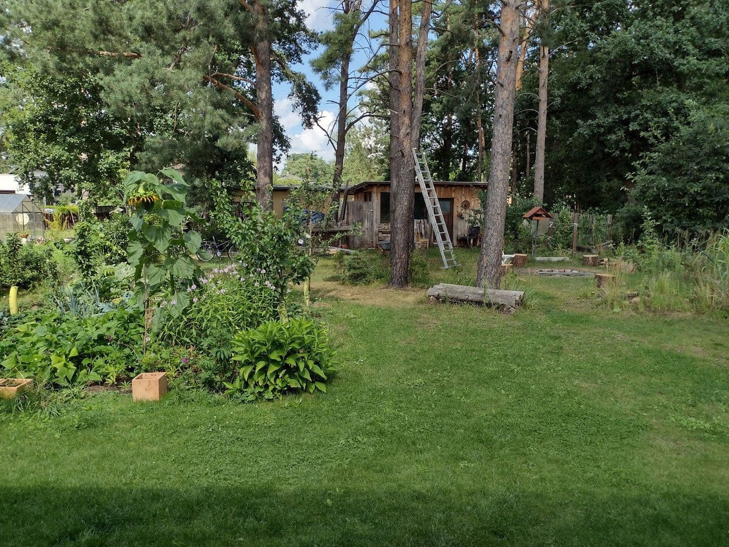 Prenájom domu 106 m², pozemok 1.000 m², Grünheide (Mark), Brandenbursko Prenájom domu 106 m², pozemok 1.000 m², Grünheide (Mark), Brandenbursko