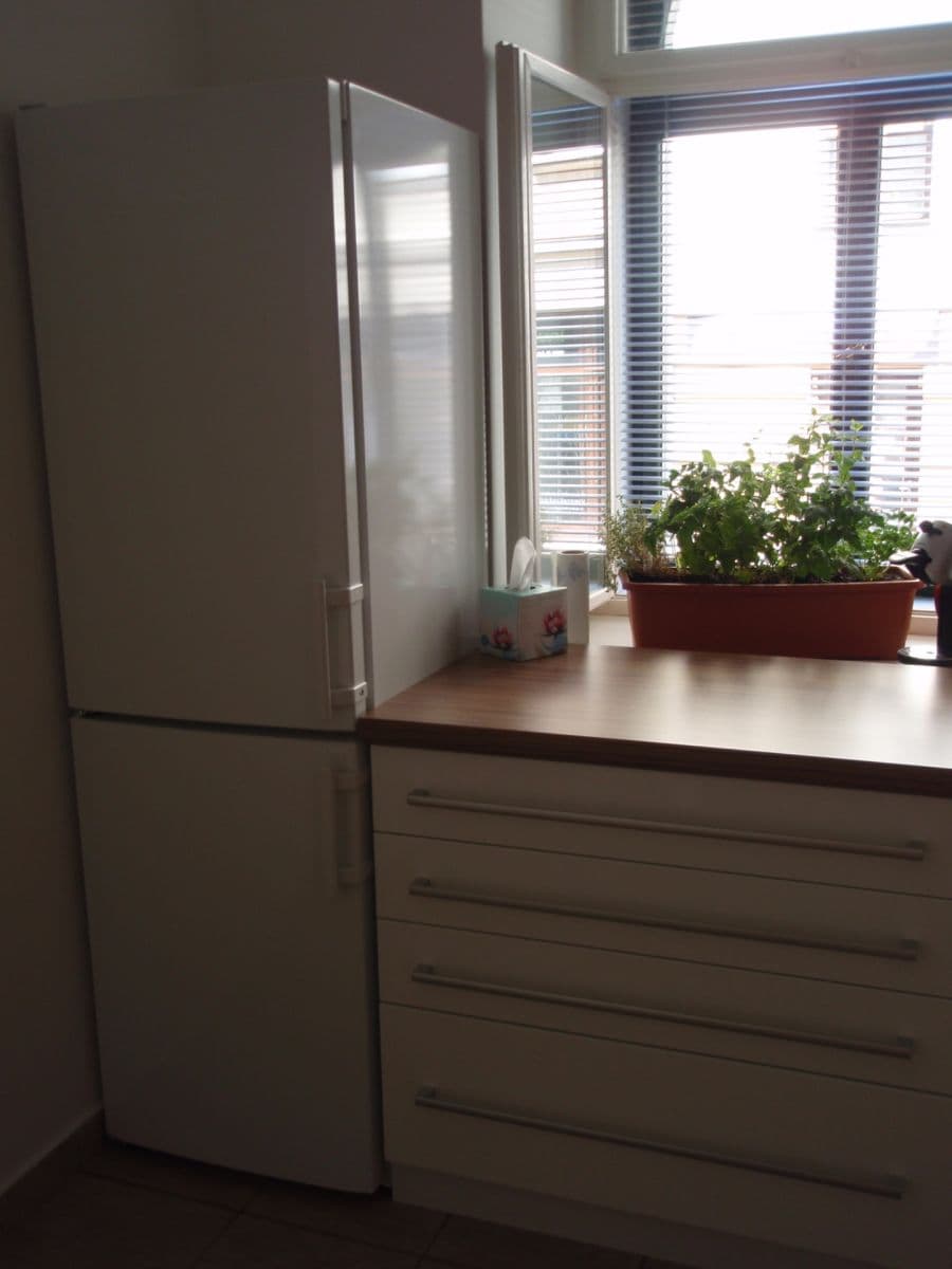 Prenájom bytu 2-izbový 46 m², Roháčova, Praha, Praha Prenájom bytu 2-izbový 46 m², Roháčova, Praha, Praha