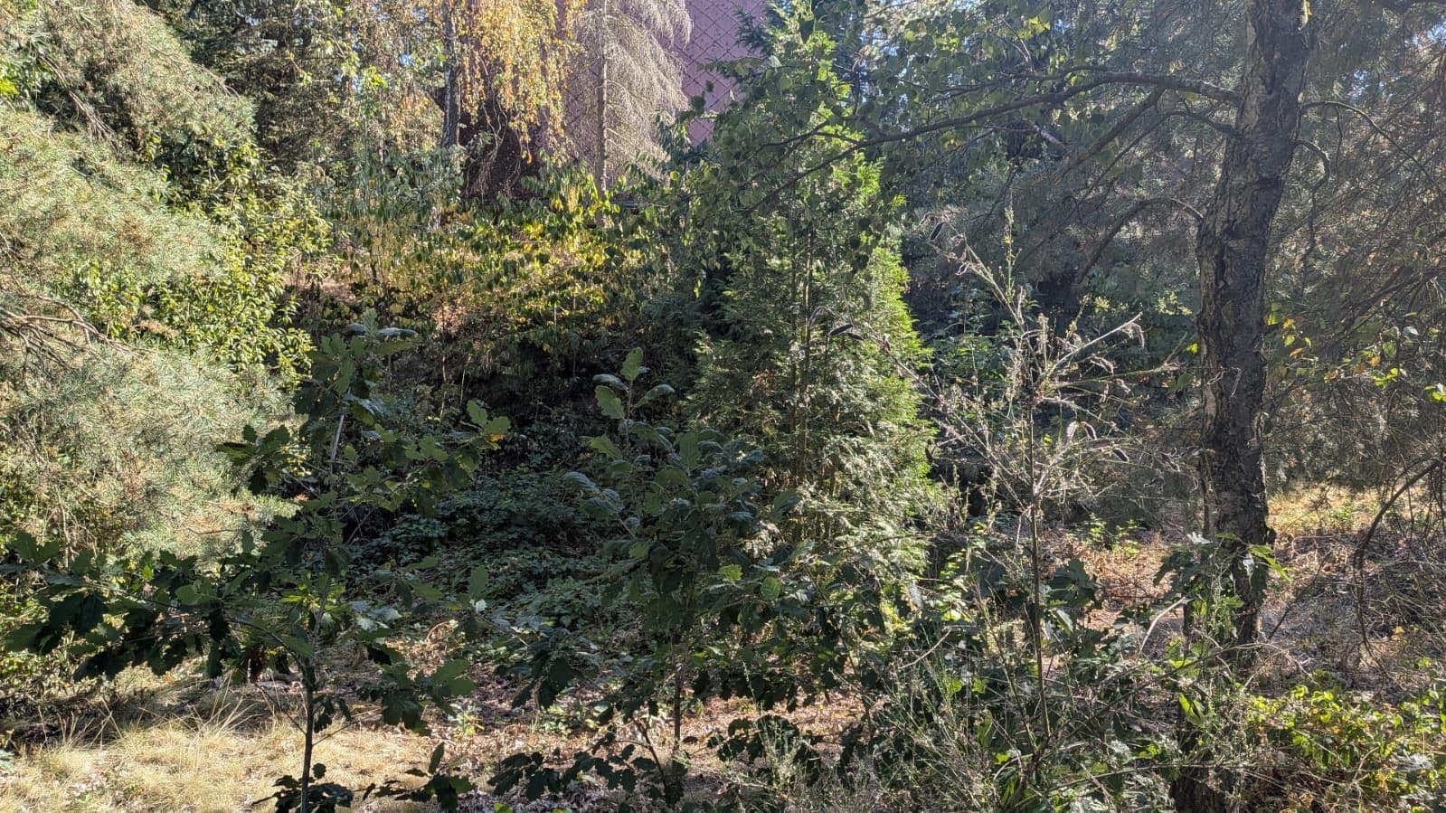 Predaj pozemku 749 m², Ptice, Středočeský kraj Predaj pozemku 749 m², Ptice, Středočeský kraj