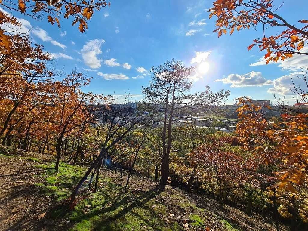 Predaj bytu 2-izbový 57 m², V jehličí, Praha, Praha Predaj bytu 2-izbový 57 m², V jehličí, Praha, Praha