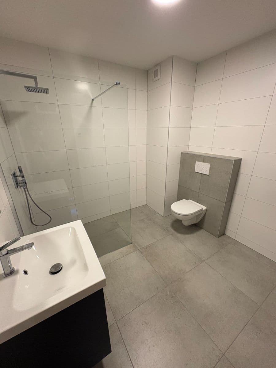 Prenájom bytu 3-izbový 62 m², Břetislavova, Brno, Jihomoravský kraj Prenájom bytu 3-izbový 62 m², Břetislavova, Brno, Jihomoravský kraj