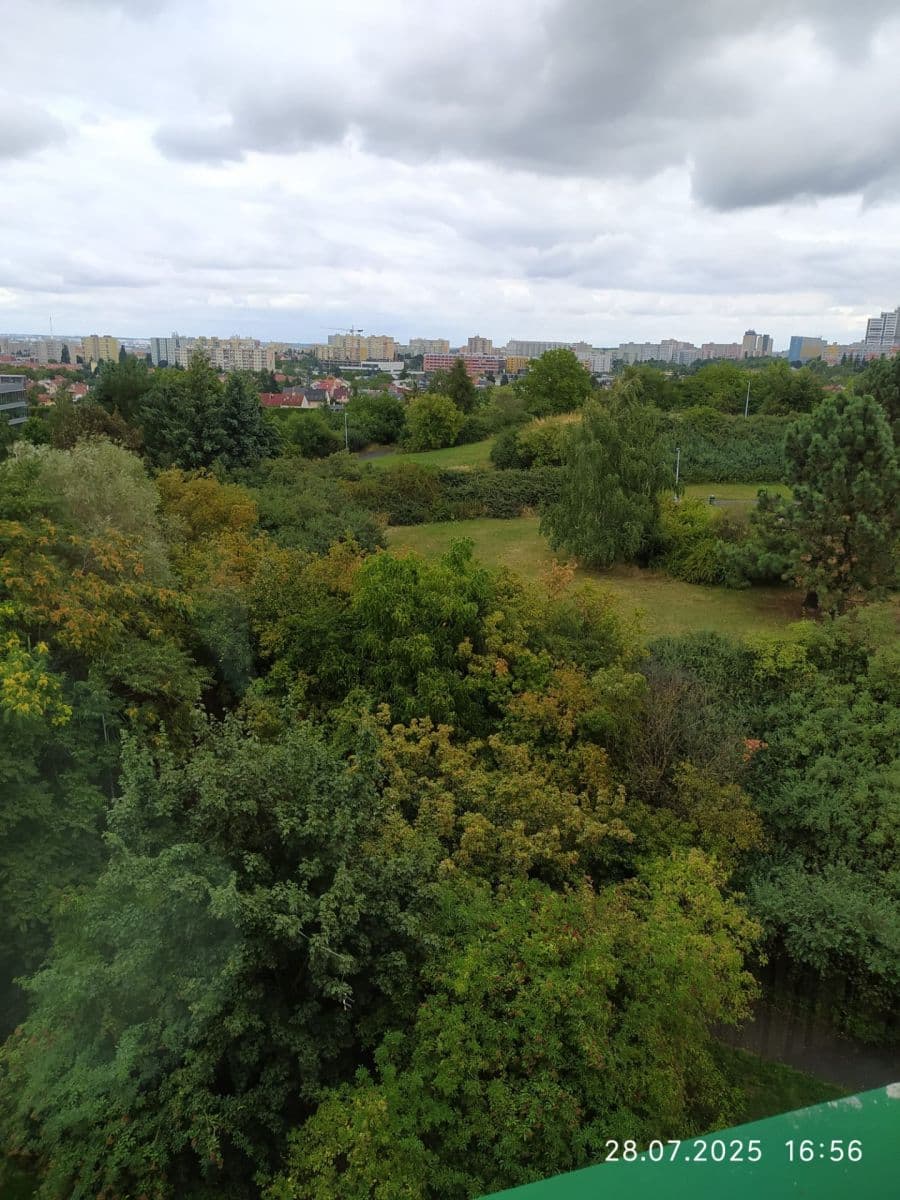 Prenájom bytu 4-izbový 90 m², Nechvílova, Praha, Praha Prenájom bytu 4-izbový 90 m², Nechvílova, Praha, Praha
