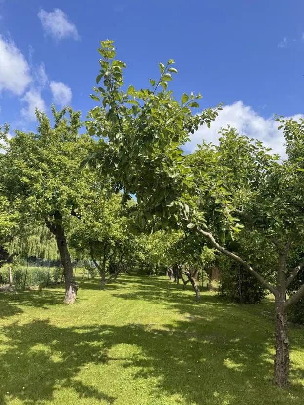 Predaj domu 182 m², pozemok 1.688 m², Alte Handelsstraße 13, Chorin, Brandenbursko Predaj domu 182 m², pozemok 1.688 m², Alte Handelsstraße 13, Chorin, Brandenbursko