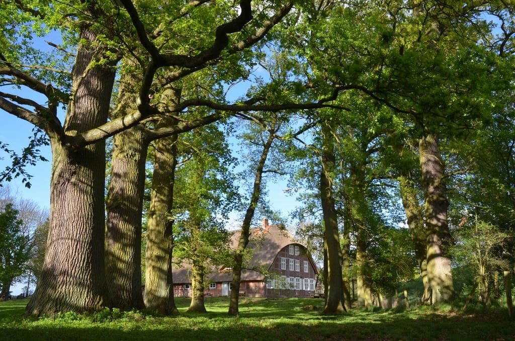 Predaj domu 189 m², pozemok 8.000 m², Lenzen (Elbe), Brandenbursko Predaj domu 189 m², pozemok 8.000 m², Lenzen (Elbe), Brandenbursko