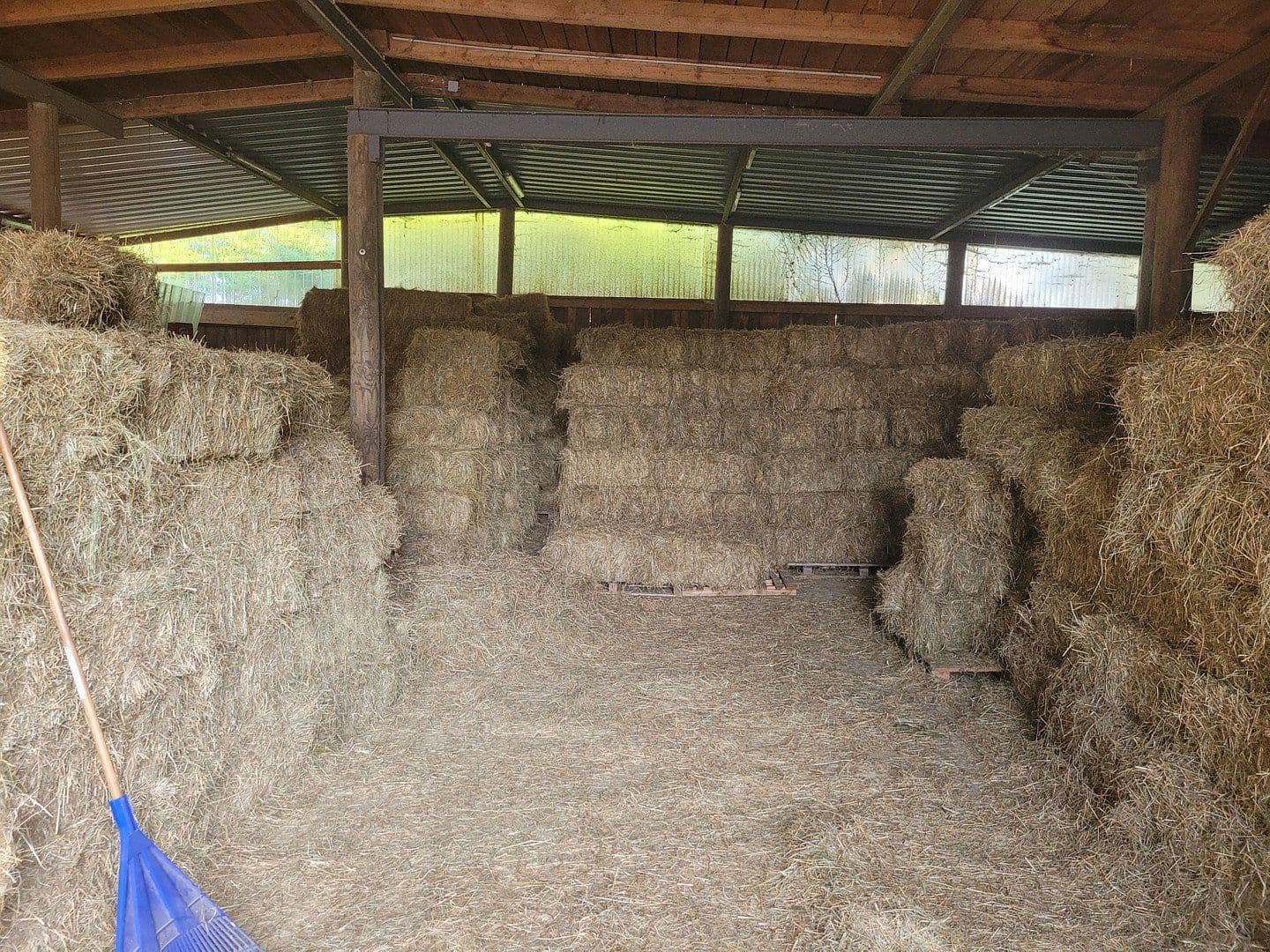Predaj domu 280 m², pozemok 25.000 m², Busenhausen, Porýnie-Falcko Predaj domu 280 m², pozemok 25.000 m², Busenhausen, Porýnie-Falcko