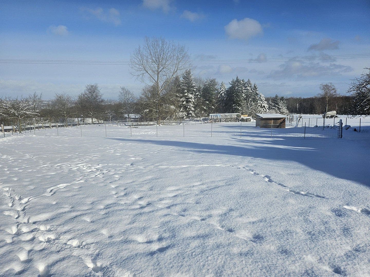 Predaj domu 280 m², pozemok 25.000 m², Busenhausen, Porýnie-Falcko Predaj domu 280 m², pozemok 25.000 m², Busenhausen, Porýnie-Falcko