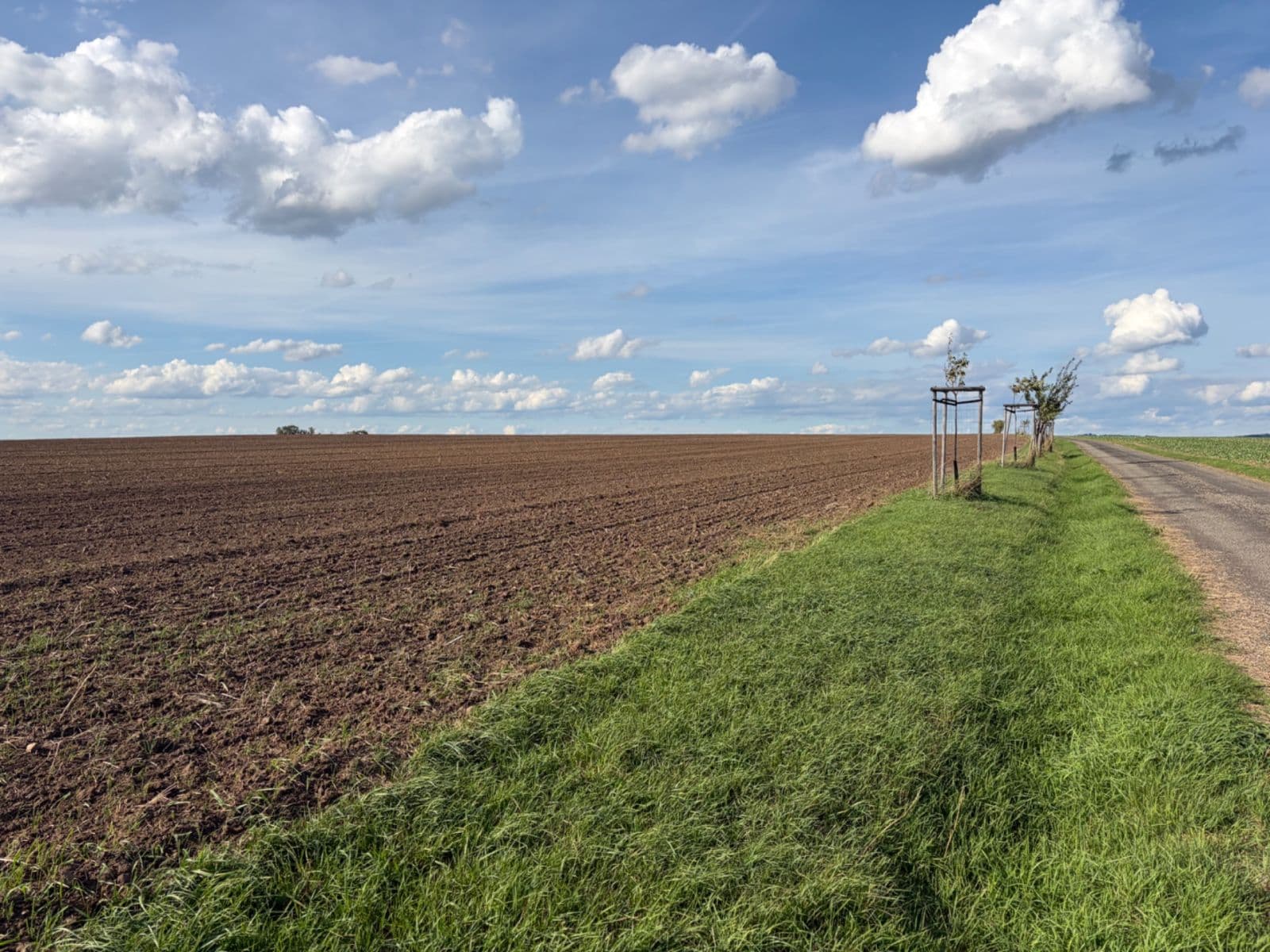 Predaj pozemku 1.050 m², Vysoká, Středočeský kraj Predaj pozemku 1.050 m², Vysoká, Středočeský kraj