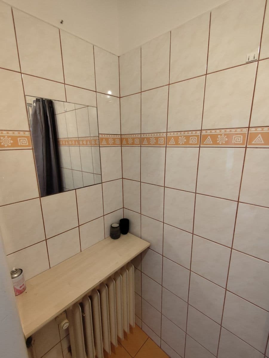 Prenájom bytu Garsoniéra 29 m², Rychtaříkova, Plzeň, Plzeňský kraj Prenájom bytu Garsoniéra 29 m², Rychtaříkova, Plzeň, Plzeňský kraj