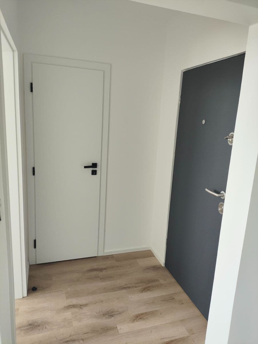 Prenájom bytu 3-izbový 63 m², Hluboká, Brno, Jihomoravský kraj Prenájom bytu 3-izbový 63 m², Hluboká, Brno, Jihomoravský kraj