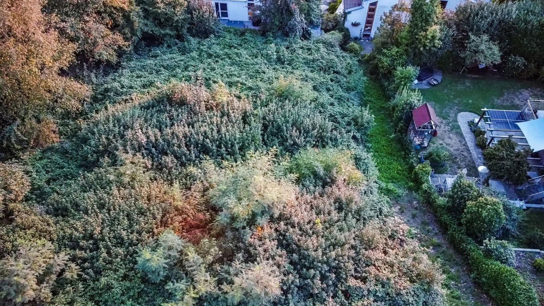Predaj pozemku 786 m², Tettnang, Bádensko-Wurttembersko Predaj pozemku 786 m², Tettnang, Bádensko-Wurttembersko