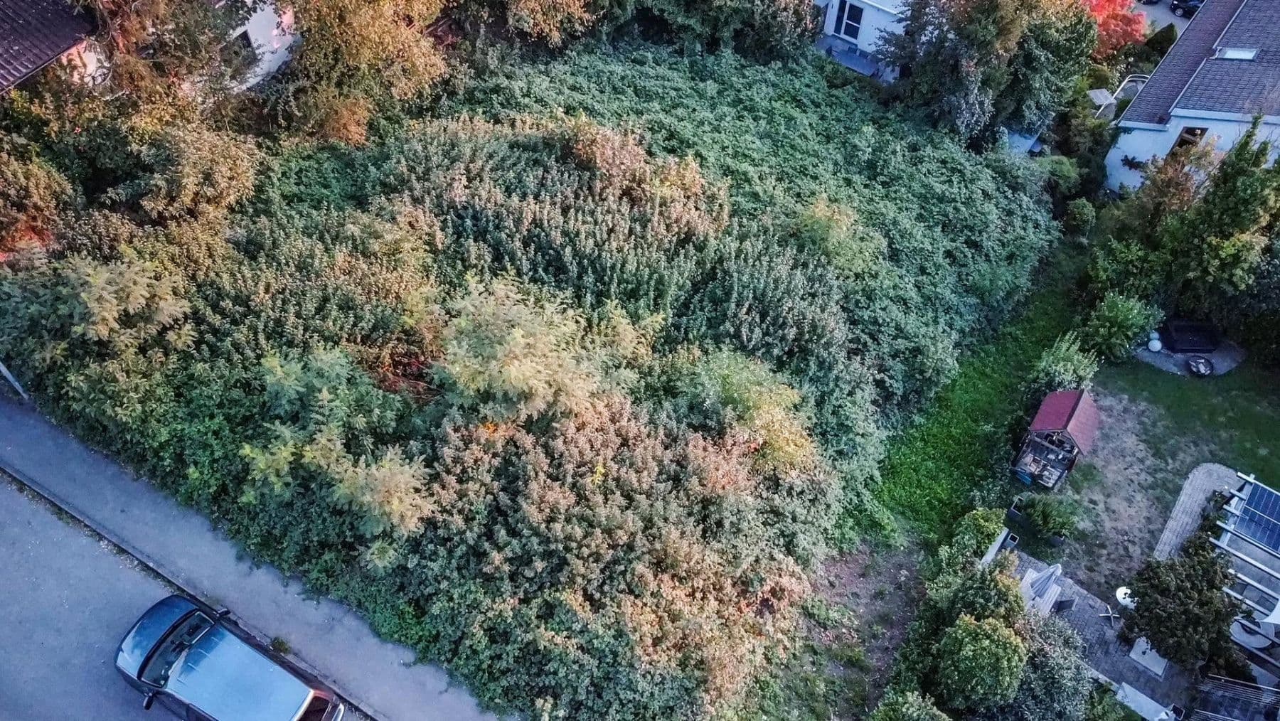 Predaj pozemku 786 m², Tettnang, Bádensko-Wurttembersko Predaj pozemku 786 m², Tettnang, Bádensko-Wurttembersko