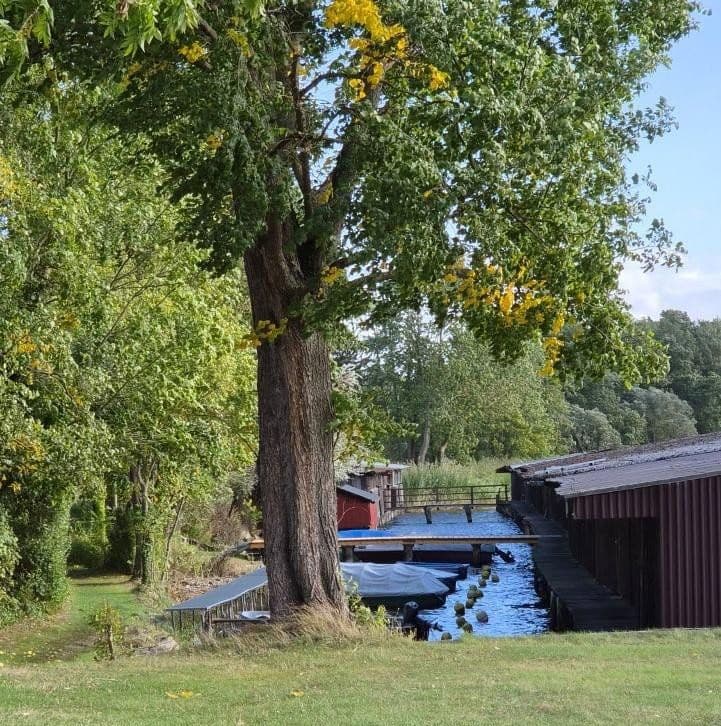 Predaj bytu 4-izbový 116 m², Am Alten Gutshof 3, Neuruppin, Brandenbursko Predaj bytu 4-izbový 116 m², Am Alten Gutshof 3, Neuruppin, Brandenbursko