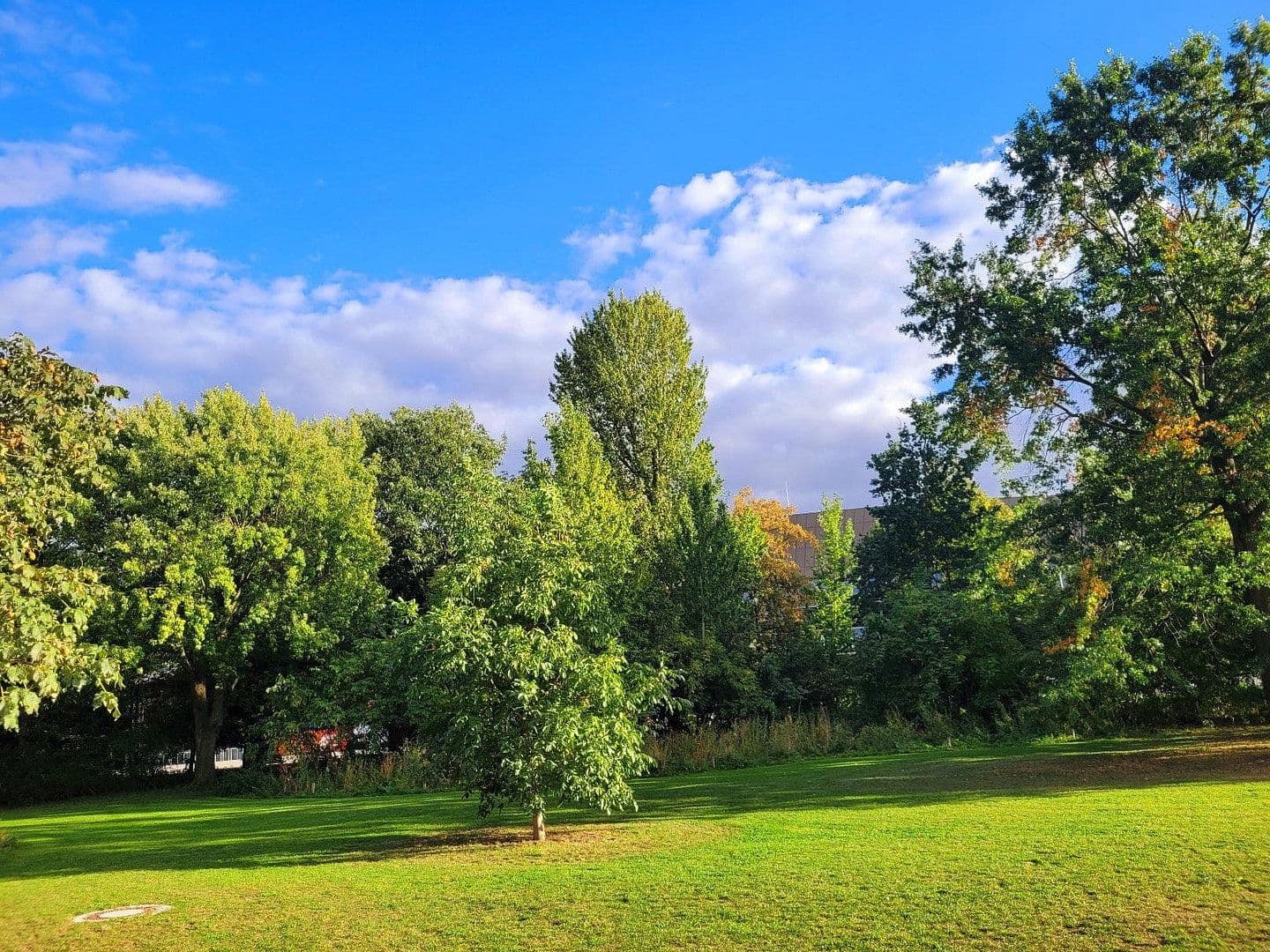 Predaj bytu 3-izbový 57 m², Berlin, Berlín Predaj bytu 3-izbový 57 m², Berlin, Berlín