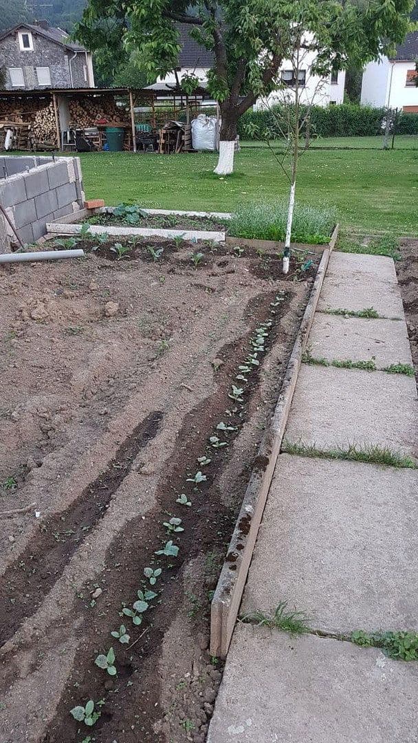 Predaj domu 316 m², pozemok 1.335 m², Aßlar, Hesensko Predaj domu 316 m², pozemok 1.335 m², Aßlar, Hesensko