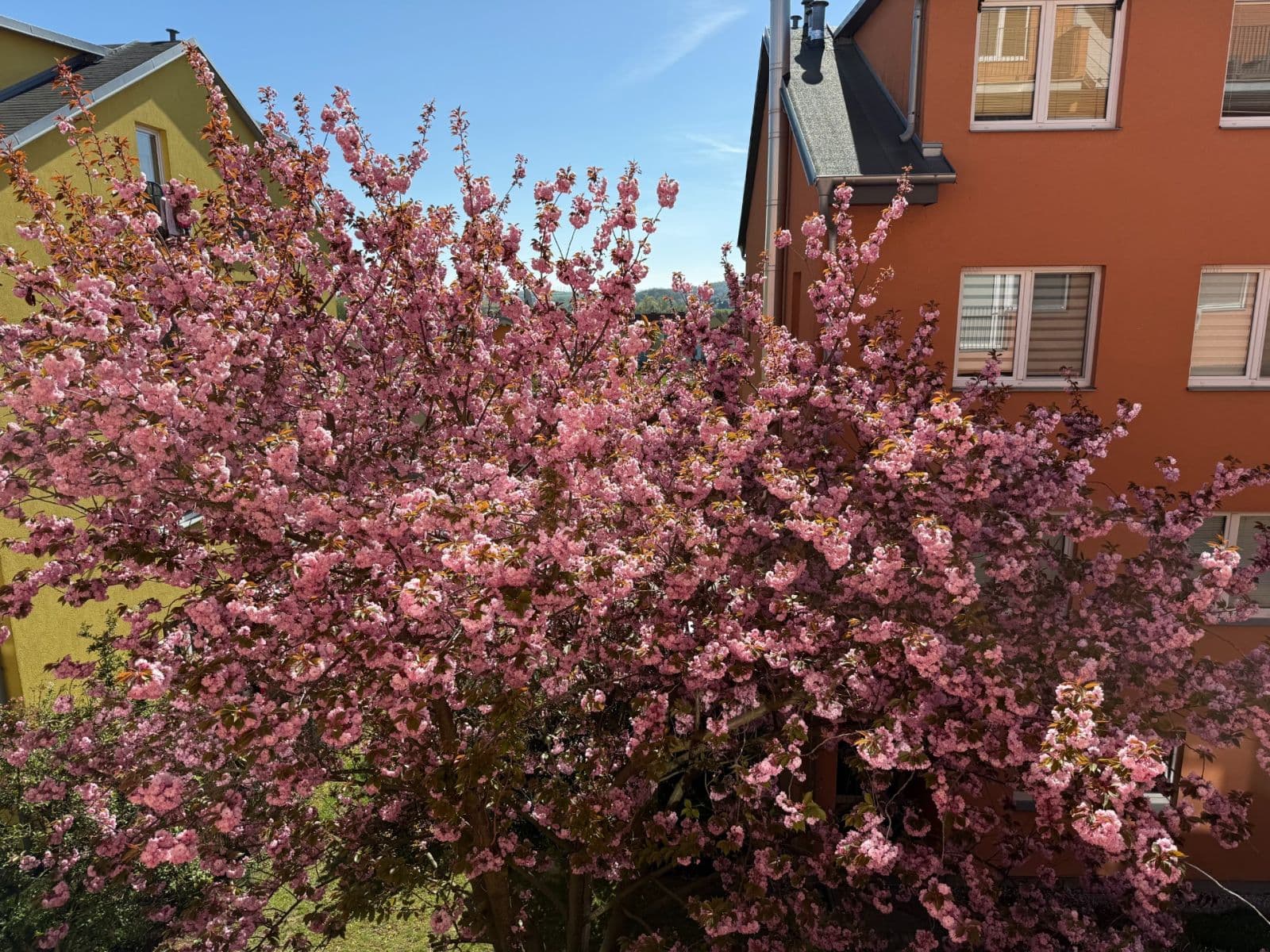 Predaj bytu 2-izbový 49 m², Za Devítkou, Jinočany, Středočeský kraj Predaj bytu 2-izbový 49 m², Za Devítkou, Jinočany, Středočeský kraj