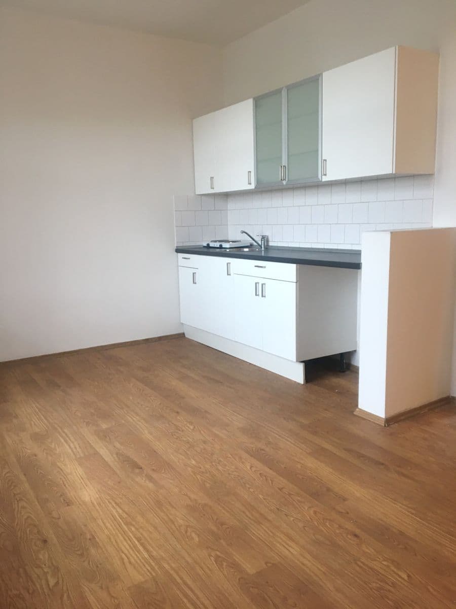 Prenájom bytu 1-izbový 24 m², Pod Sychrovem Ⅰ, Praha, Praha Prenájom bytu 1-izbový 24 m², Pod Sychrovem Ⅰ, Praha, Praha