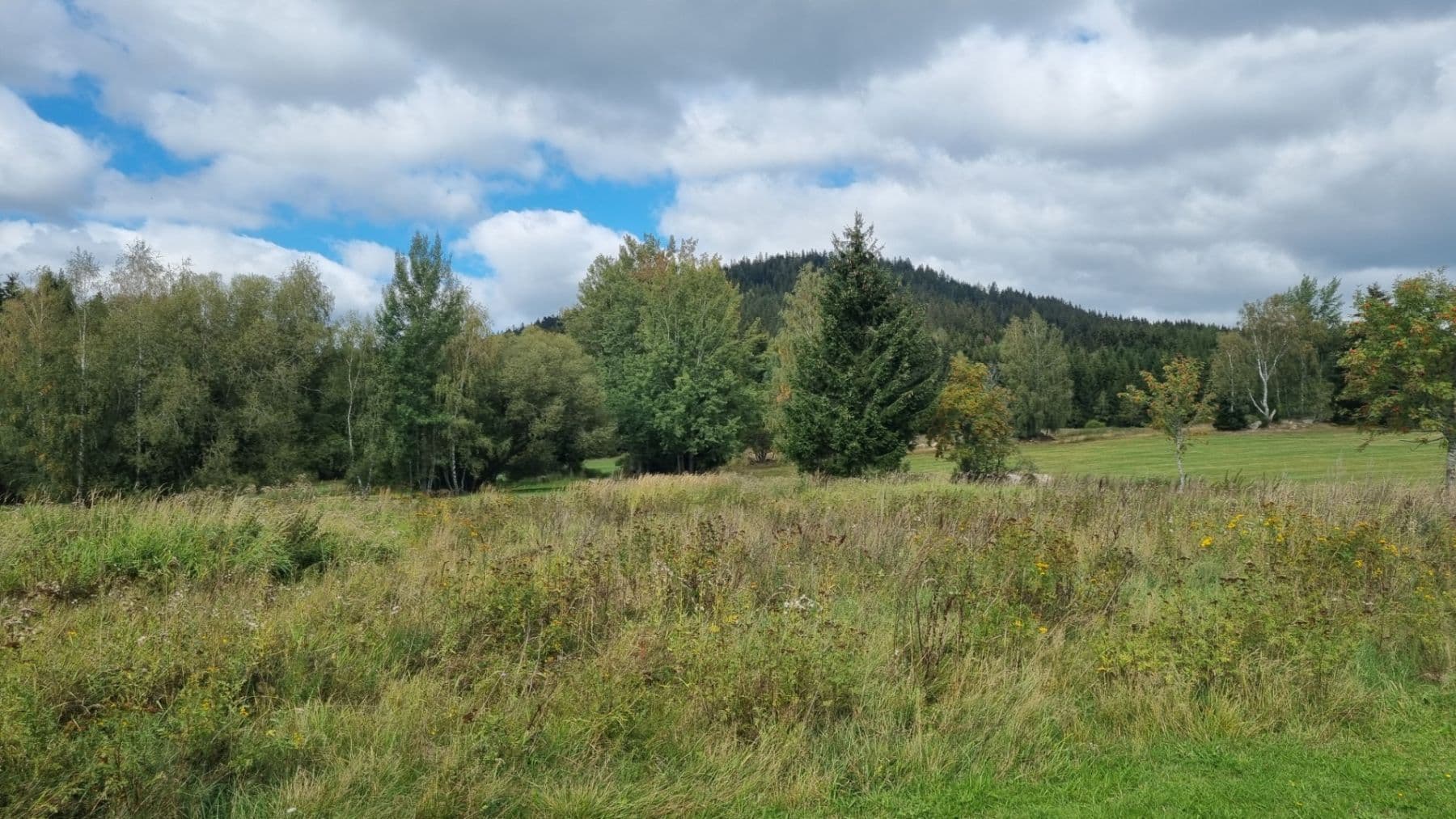 Predaj pozemku 3.812 m², Srní, Plzeňský kraj Predaj pozemku 3.812 m², Srní, Plzeňský kraj