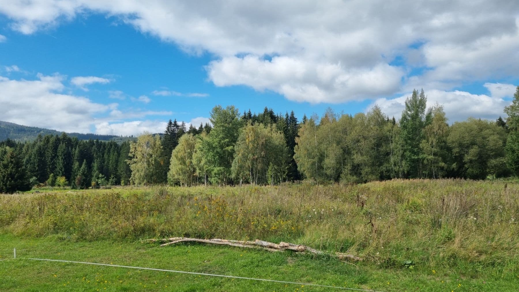 Predaj pozemku 3.812 m², Srní, Plzeňský kraj Predaj pozemku 3.812 m², Srní, Plzeňský kraj