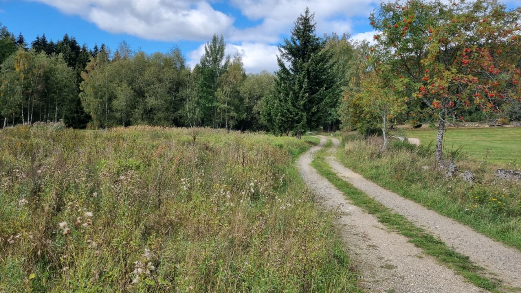 Predaj pozemku 3.812 m², Srní, Plzeňský kraj Predaj pozemku 3.812 m², Srní, Plzeňský kraj